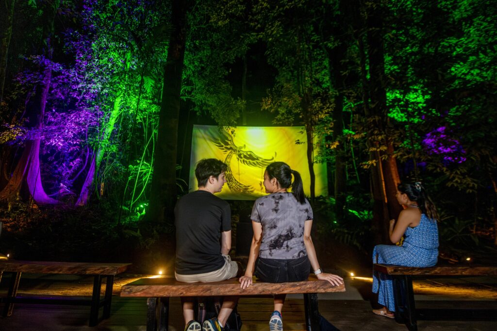 Langkawi Dream Forest and stunning light displays 