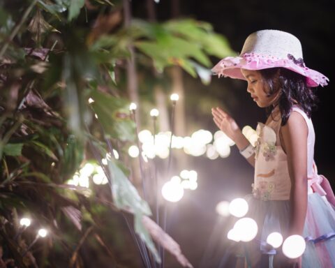 Dream Forest Langkawi - girl looking amazed at all the beautiful lights