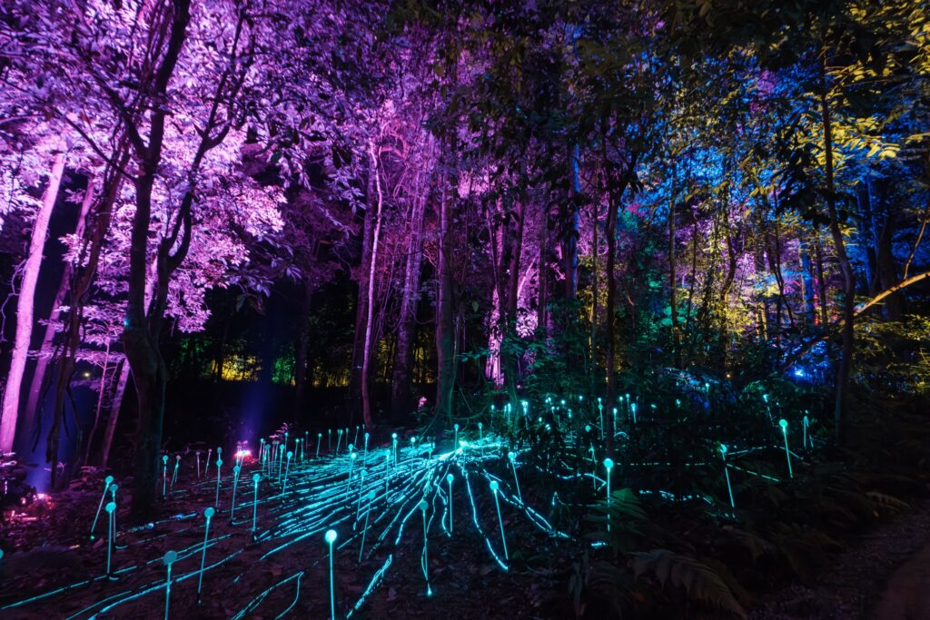 Stunning light displays at Dream Forest Langkawi
