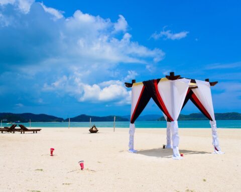 wedding arc for ceremony on the beach